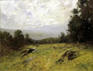 Hillside