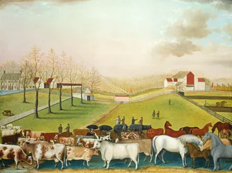 The Cornell Farm
