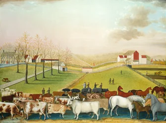 The Cornell Farm