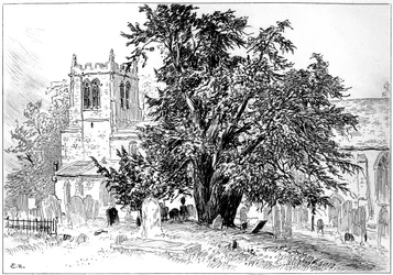 Snitterfield Church, Snitterfield, Warwickshire