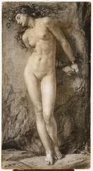 Andromeda, 1872