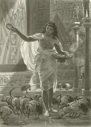 Feeding the Sacred Ibis in the Halls of Karnac