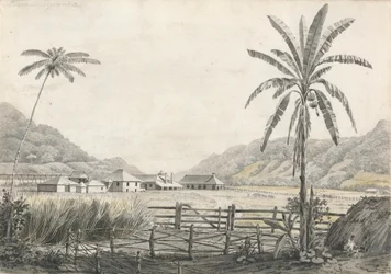A View of Hall-head Sugar Plantation, Jamaica