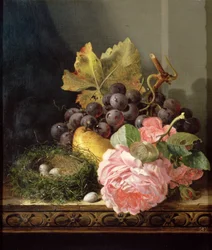 Unknown Image