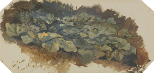 The Cave