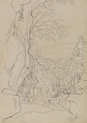 La Cava, 19 July 1838