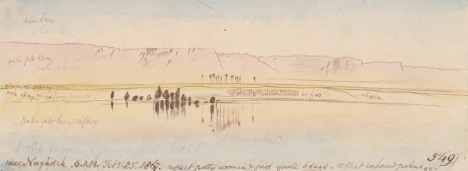 Near Negadeh; 8:00 A.M., 25 Feb. 1867