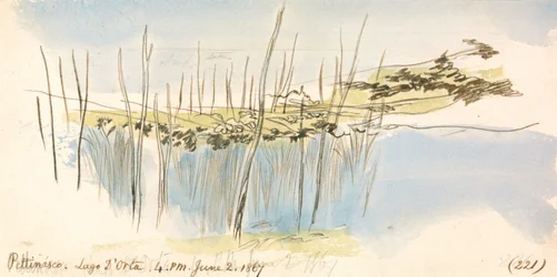 Pettenasco, Lake Orta, 4:00 pm, 2 June 1867 (221)