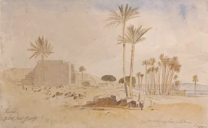 Tapha, 7:50 a.m., February 17, 1867