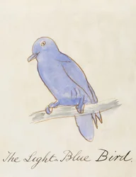 The Light Blue Bird, from 