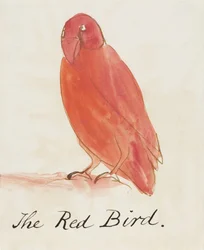 The Red Bird, from Sixteen Drawings of Comic Birds