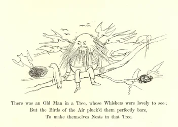 There Was an Old Man in a Tree, Whose Whiskers Were Lovely to See