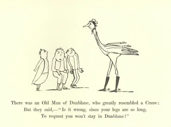There was an Old Man of Dunblane, who greatly resembled a Crane