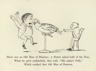 There Was an Old Man of Dunrose; a Parrot Seized Hold of His Nose