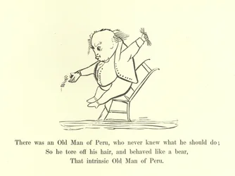 There was an Old Man of Peru, Who Never Knew What He Should Do