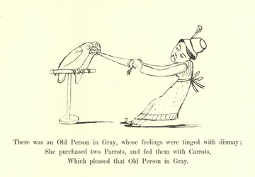 There Was an Old Person in Gray, Whose Feelings Were Tinged with Dismay