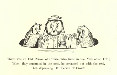 There Was an Old Person of Crowle, Who Lived in the Nest of an Owl
