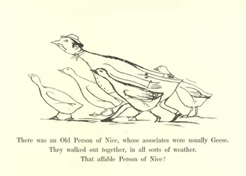 There was an Old Person of Nice, whose associates were usually Geese