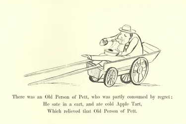 There was an Old Person of Pett, who was partly consumed by regret