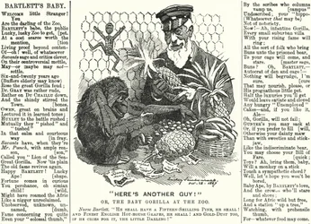 Abraham Dee Bartlett, Superintendent of London Zoo, and a Baby Gorilla (engraving)