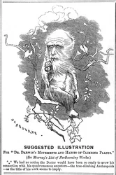 Charles Darwin, English Naturalist, 1875