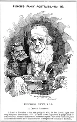 Richard Owen, English Zoologist