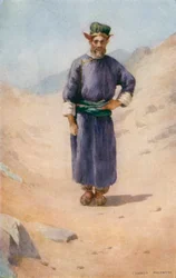 A Ladaki in Summer Costume
