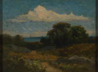 Landscape (Trees and Rocks by Lake)