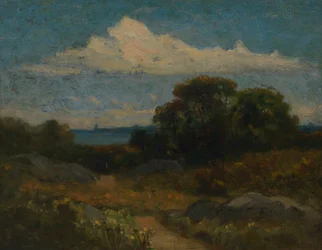 Landscape Trees and Rocks by Lake