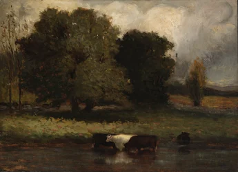 Untitled (Four Cows Wading in Pond)