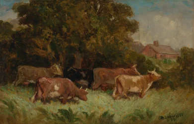 Untitled (five cows in pasture, rooftop in background)