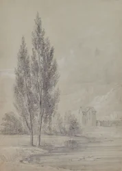 Landscape with Trees Near Lake