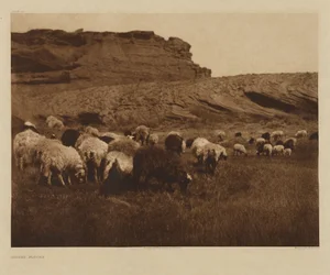[Navajo Flocks]
