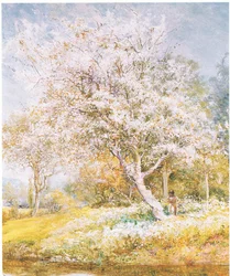 Gathering Flowers