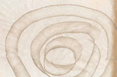 Fluid Organic Curves