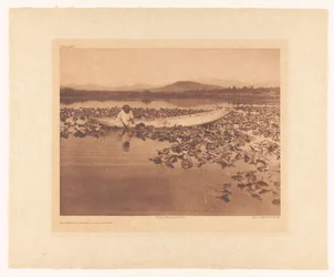 Gathering Wokas - Klamath