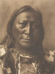 Hollow Horn Bear