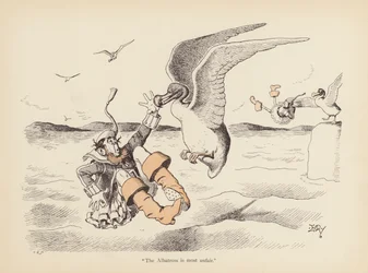 Tails with a Twist: The Albatross