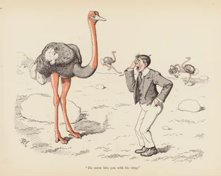Tails with a Twist: The Ostrich