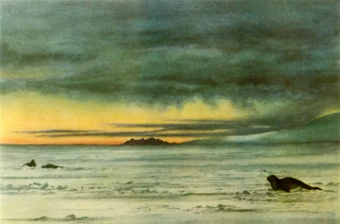 Looking North in McMurdo Sound