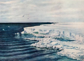 The Great Ice Barrier, Looking East from Cape Crozier, 4 January 1911