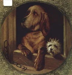 A Shared Kennel