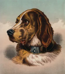 The Blood Hound
