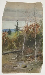 Fall Landscape