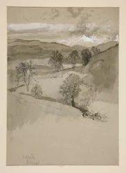 Landscape - Fields