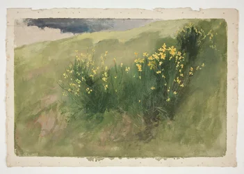 Landscape with Wildflowers