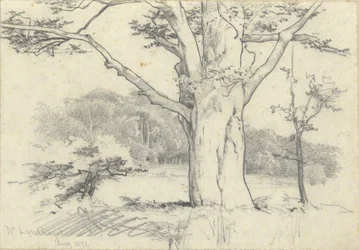 Near Lyndhurst, August 1871