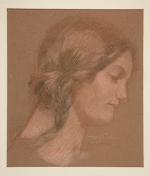 Portrait of a Woman in Profile