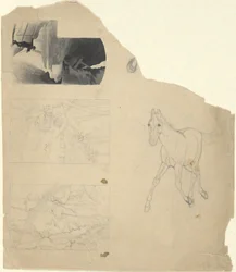 Sheet of studies, three of a waterfall, one of a colt