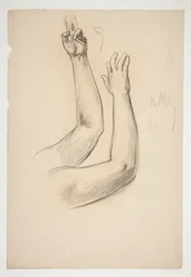 Sketch of two arms